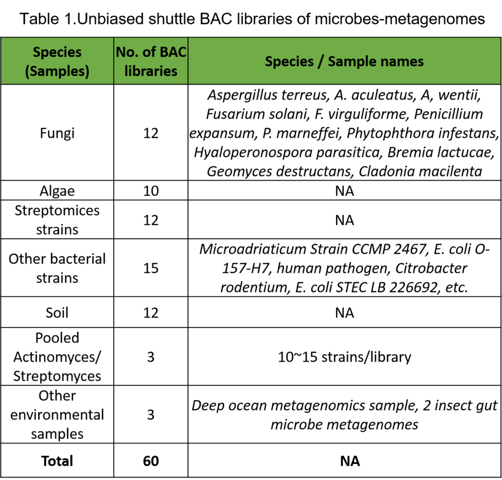 BAC Library Table