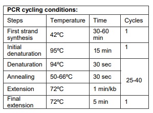 One Step RTqPCR PCR Cycling Conditions