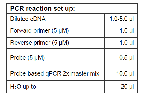PCR REaction Set Up Synthesis Probe Based RT-qpcr