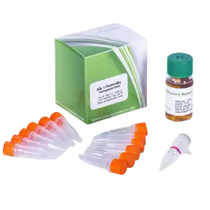 AGL1 Chemically Competent Cells