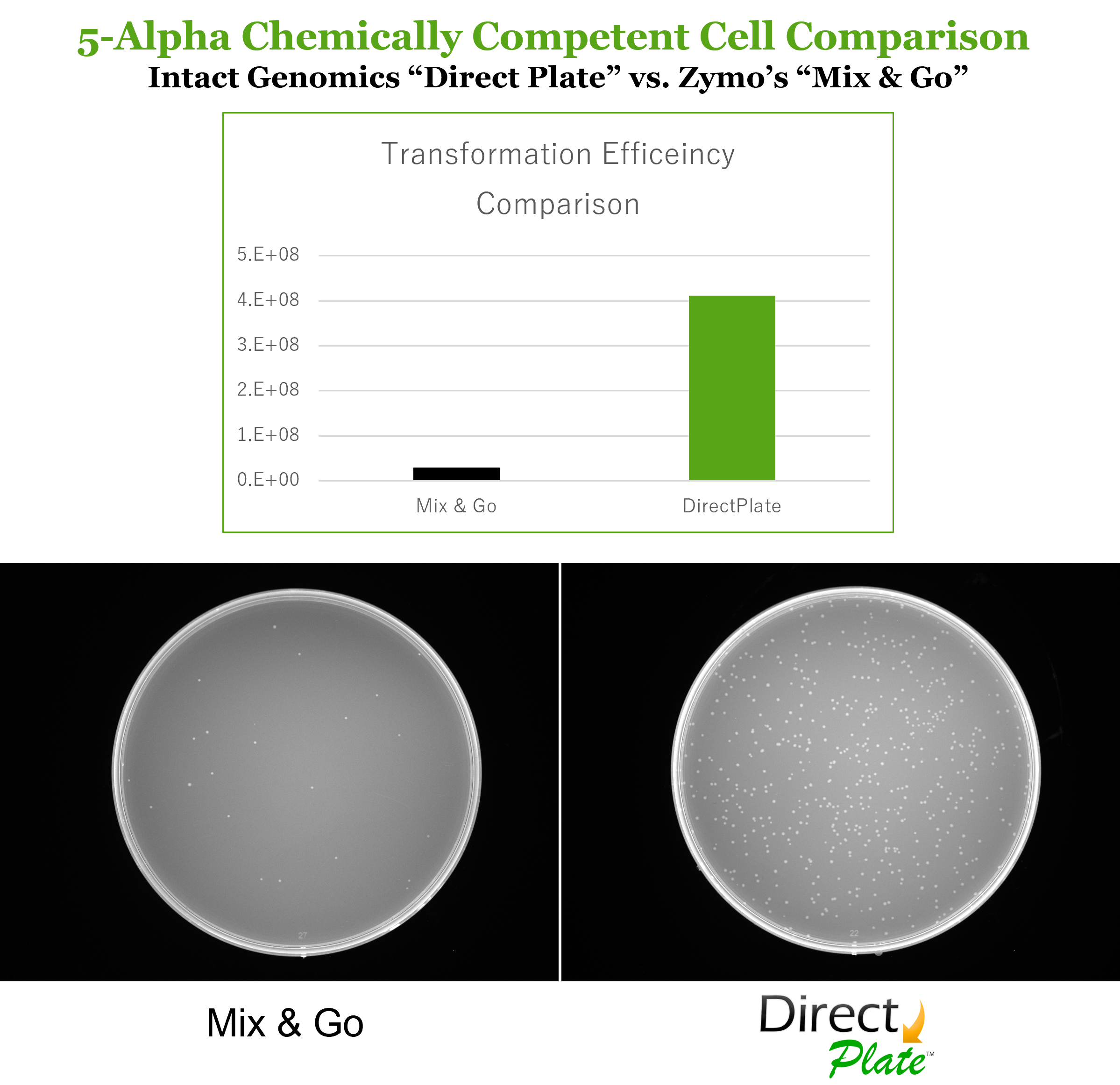 Direct Plate vs ZYMO 5-alpha Competent Cell Comparison