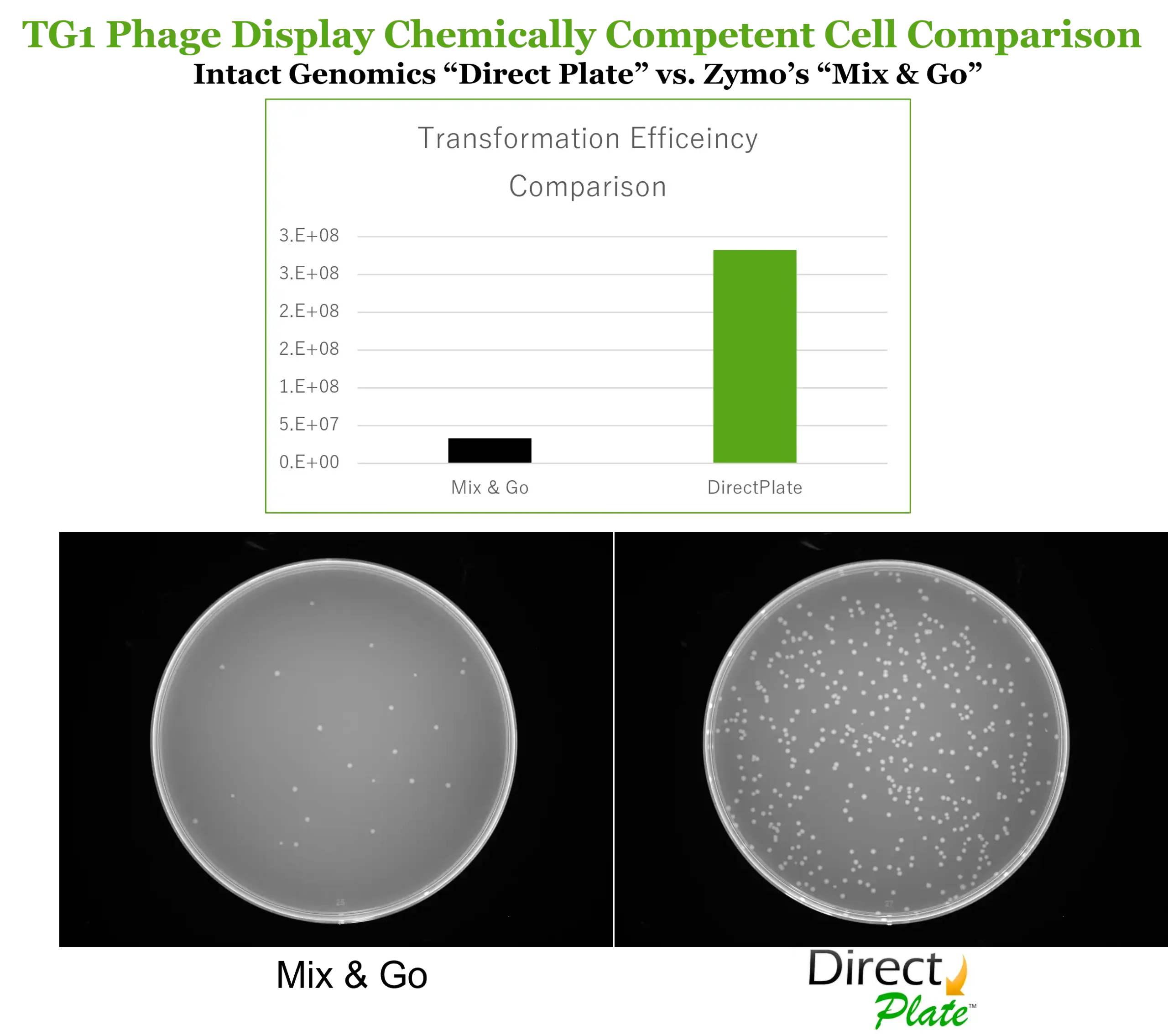Direct Plate vs ZYMO TG-1 Phage Display Competent Cell Comparison