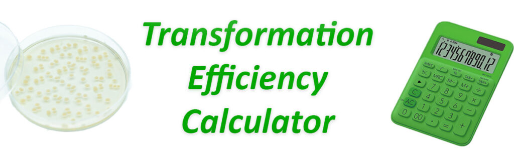 Transformation Efficiency Calculator