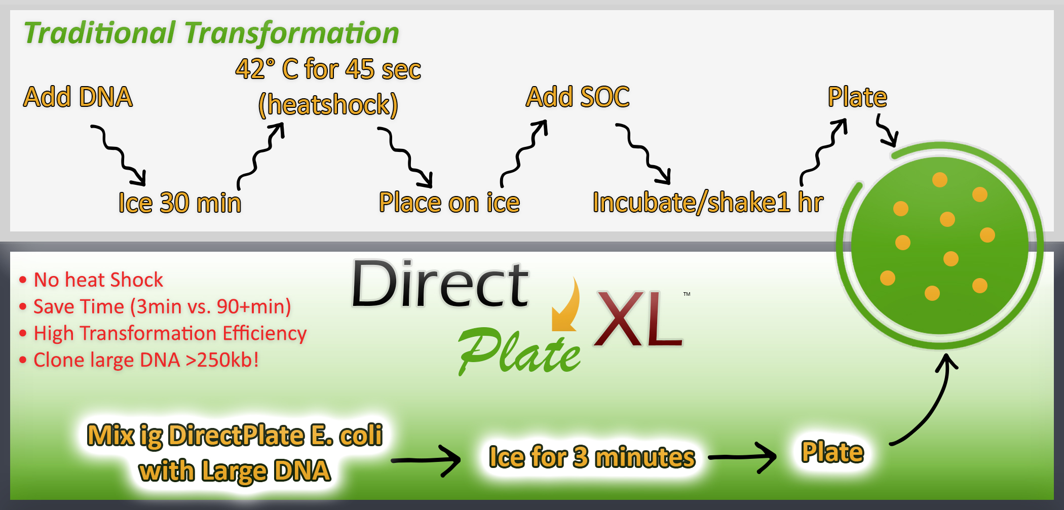 DirectPlate XL Protocol Comparison