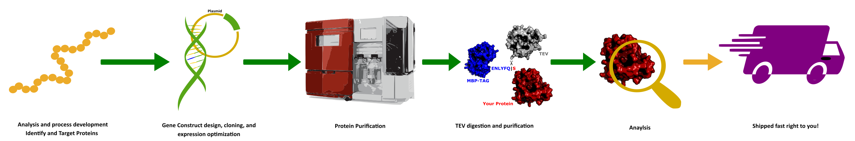 Protein Production and purification Service