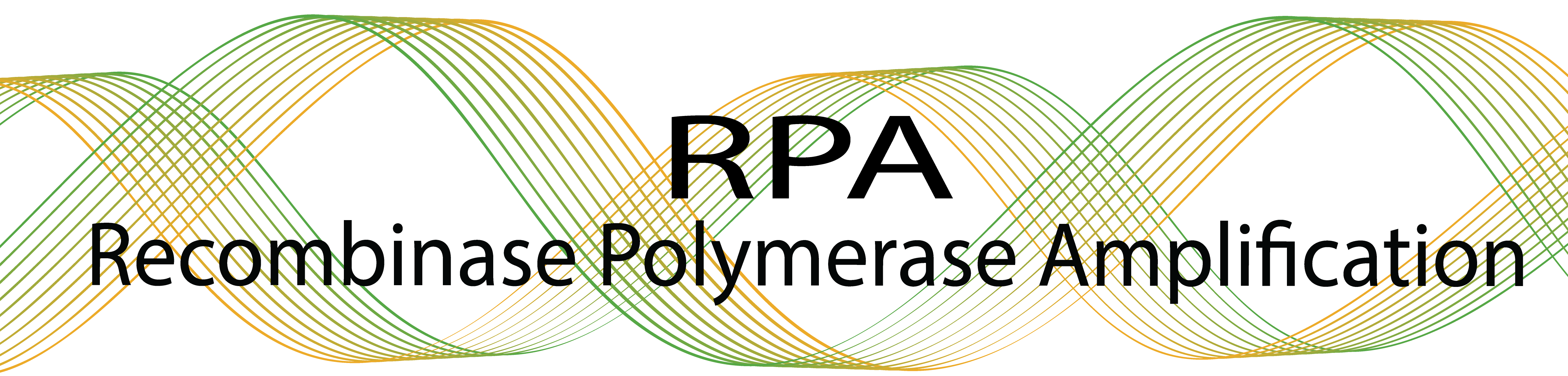 Recombinase Polymerase Amplification