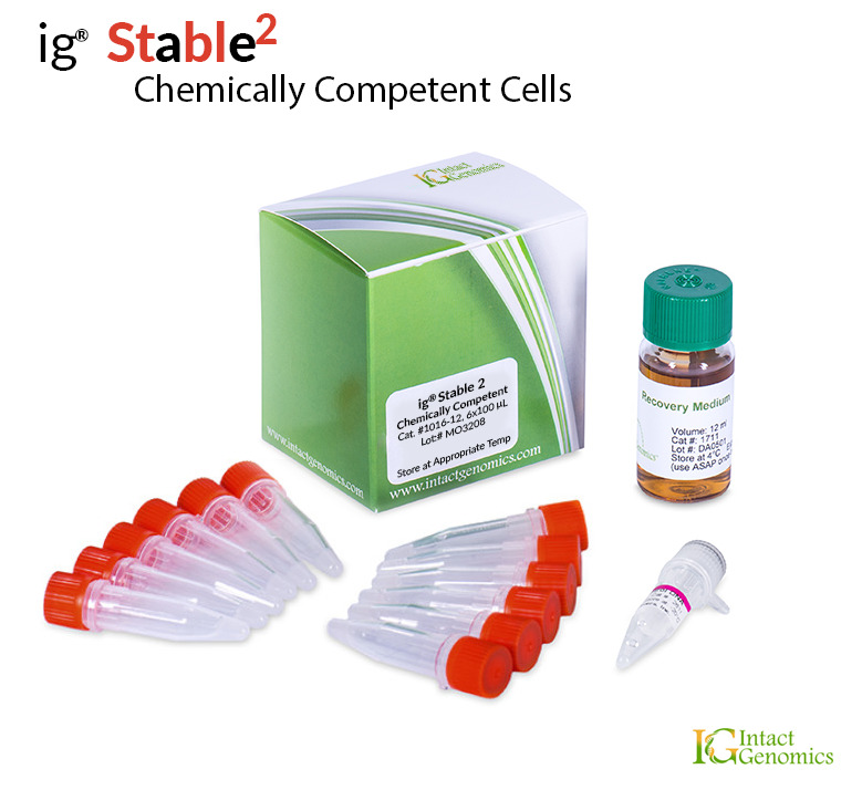 Stable 2 Chemically Competent Cells