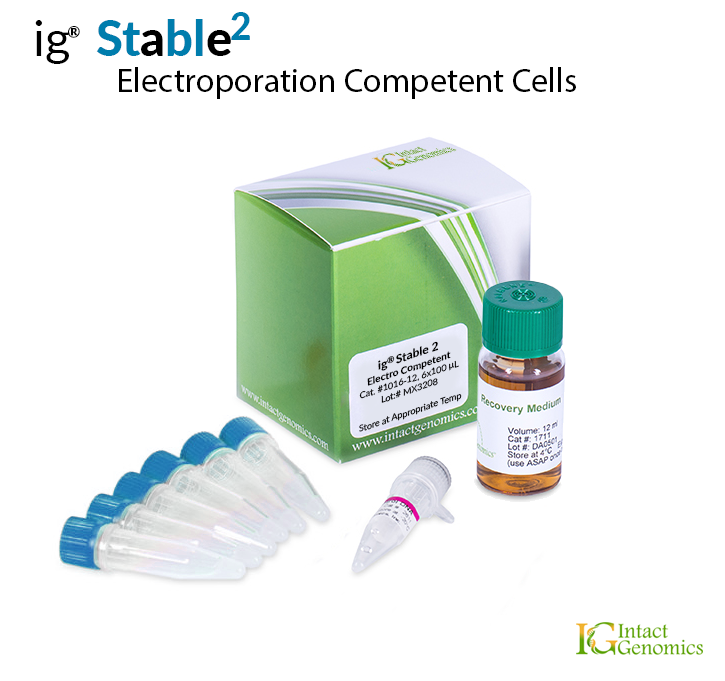 Stable 2 Electrocompetent Cells