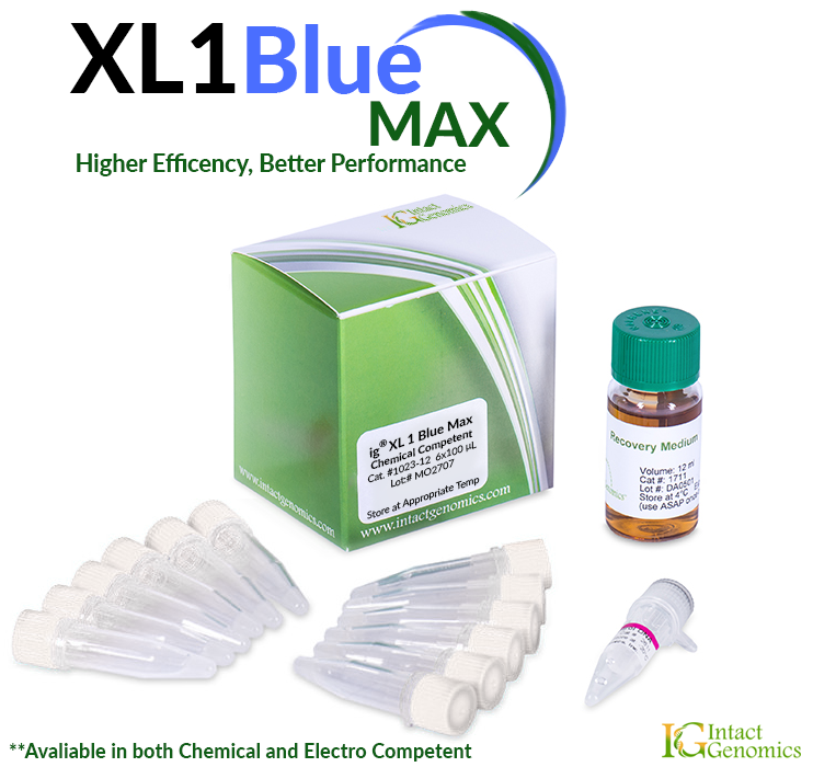 xl1 blue chemically competent