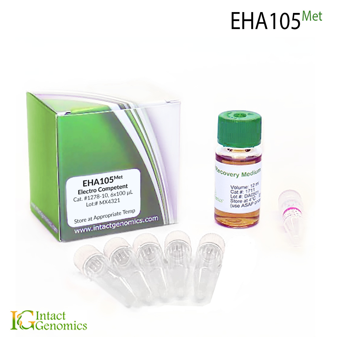 Methionine Auxotrophic EHA105 electrocompetent Cells