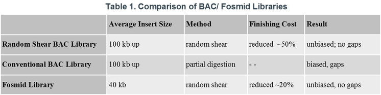 A table with several different types of animal parts.