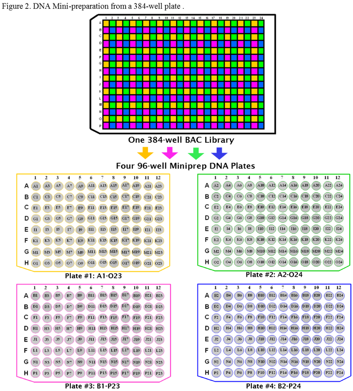 A set of four different colored squares with numbers on them.