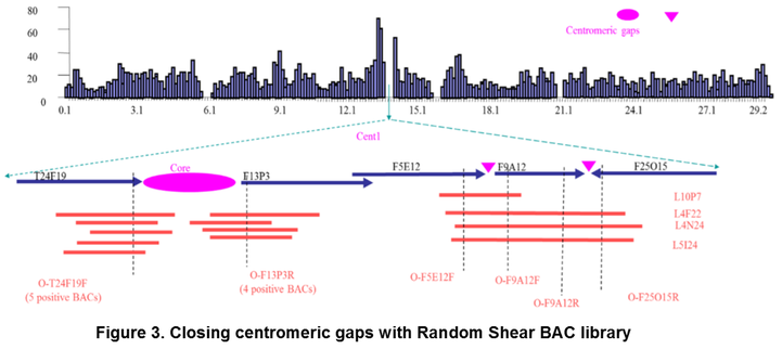 A diagram of the city skyline with different colors.