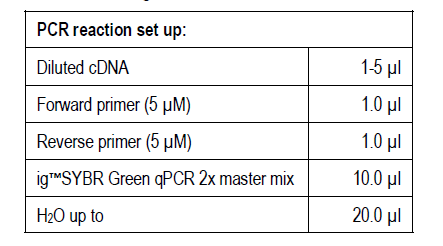 SYBR Green qPCR 2X Master Mix | igSYBR™ Intact