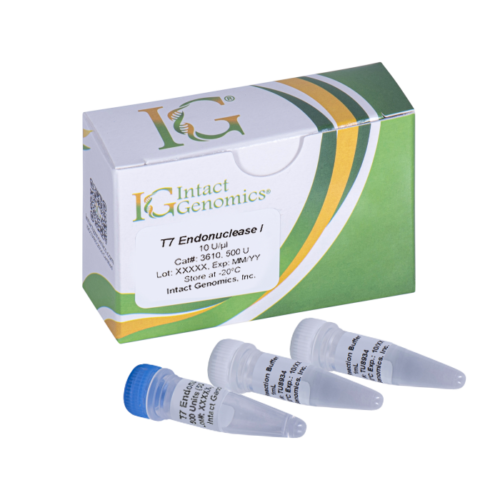 T7 Endonuclease I