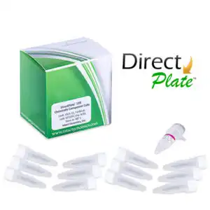 Directplate 10B Chemically Competent cells