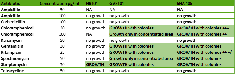 A table with the growth of colonies in each row.