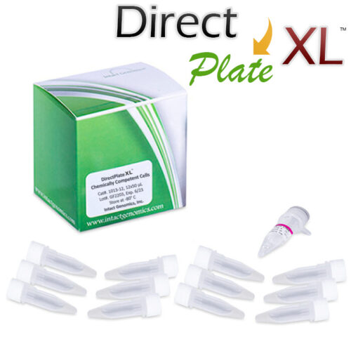 DirectPlate XL Competent Cells