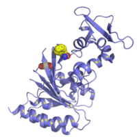 A protein structure with a yellow smiley face on it.