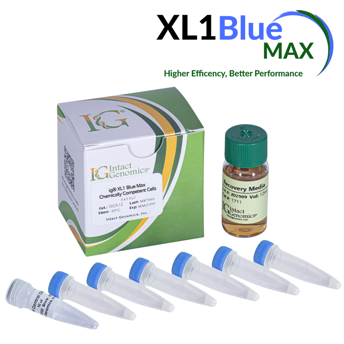 ig® XL1 Blue Max Chemically Competent Cells with puc19 and recovery media