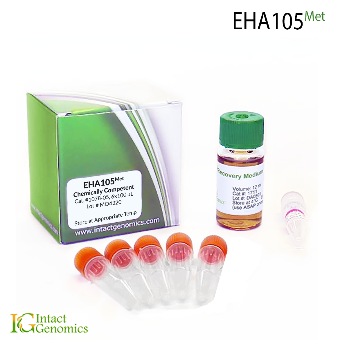 Methionine Auxotrophic EHA105 Chemically Competent Cells