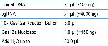 Cas12 functional testing