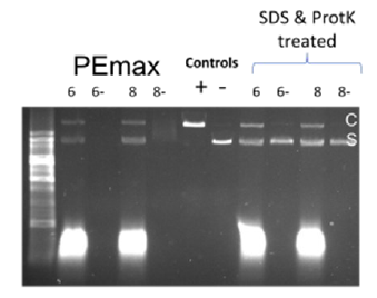 PEmax functional Testing