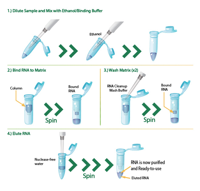 RNA Cleanup Workflow