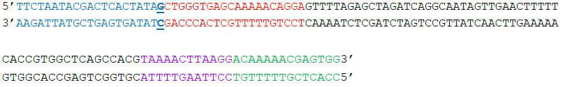 following completion of incubation