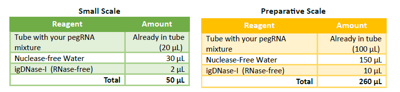 pegRNA Synthesis Reaction setup 2