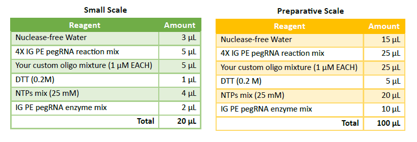 pegrna synthesis reaction set up