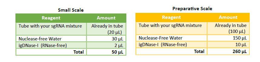 sgRNA Synthesis Reaction SetUp 2