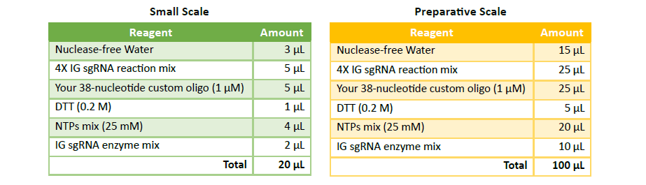 sgRNA cas12a protocol