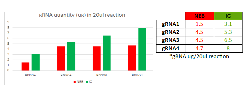 sgRNA synthesis Compareiative Data