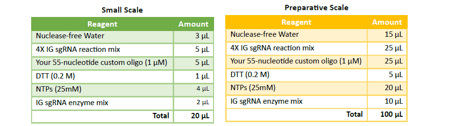 sgrna Synthesis protocol