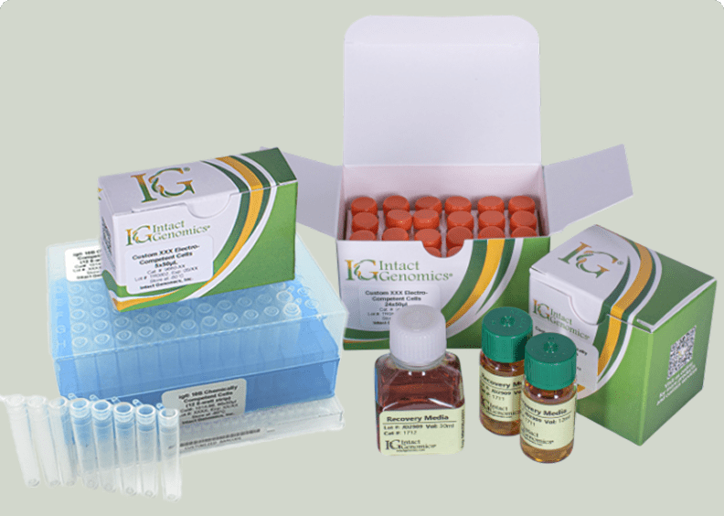 Laboratory supplies and reagents assortment
