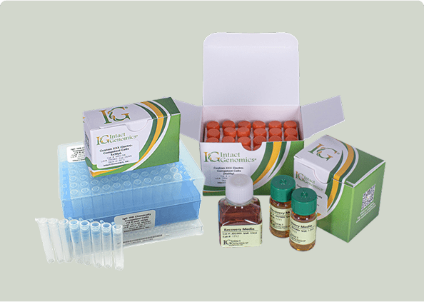 Laboratory testing kit with vials and tubes