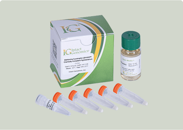 DNA extraction kit components displayed