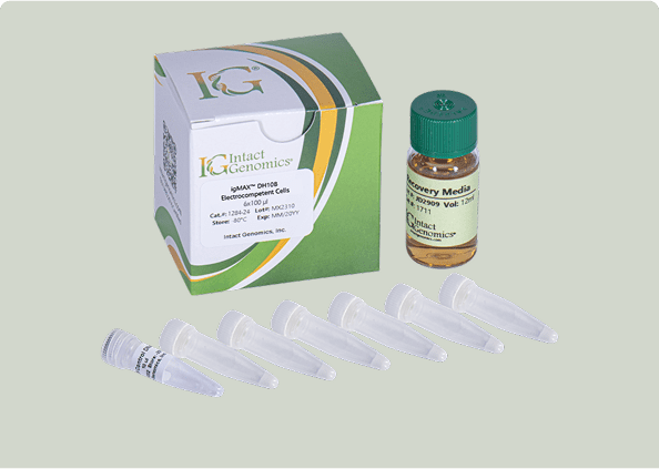 DNA extraction kit and recovery media