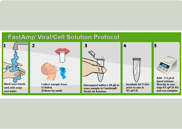 Step-by-step RT-qPCR preparation guide