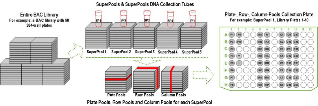 DNA collection tube illustration