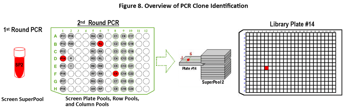 Sample analysis process diagram