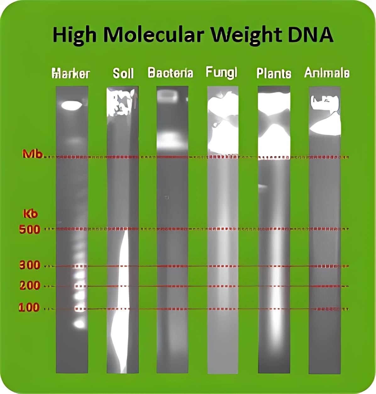 DNA samples from various sources