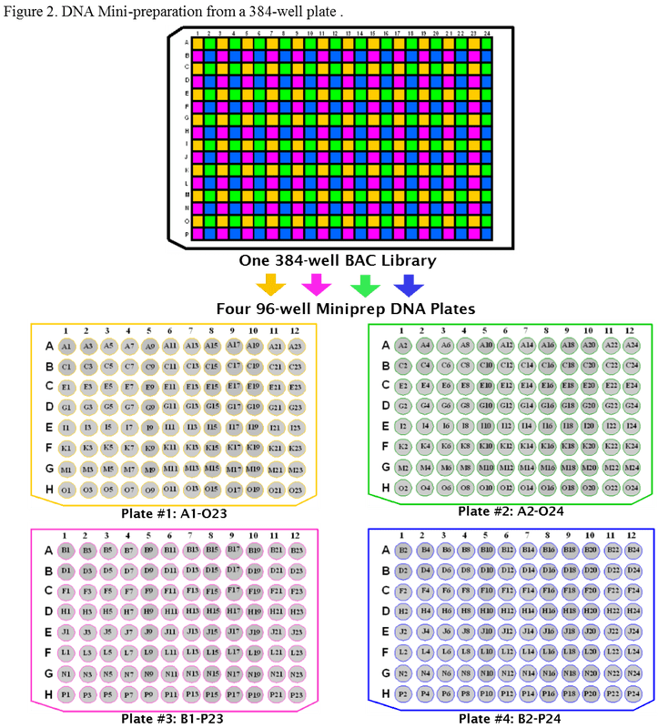 Grid with four analytical charts