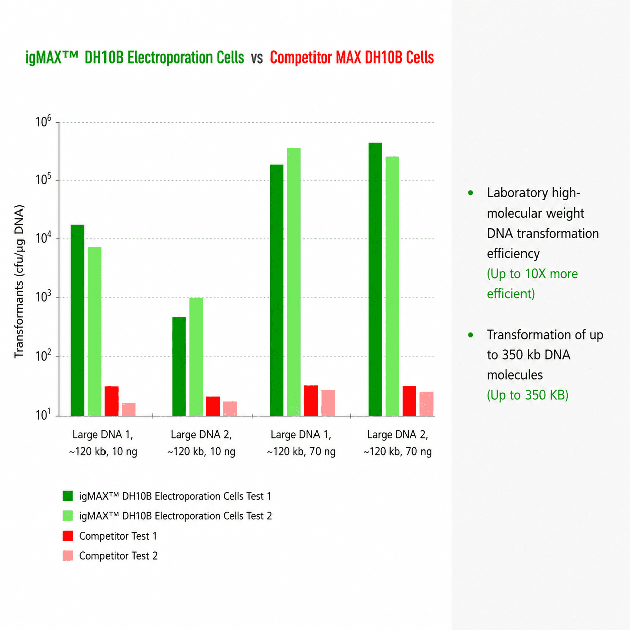 DNA transformation efficiency in laboratory cells