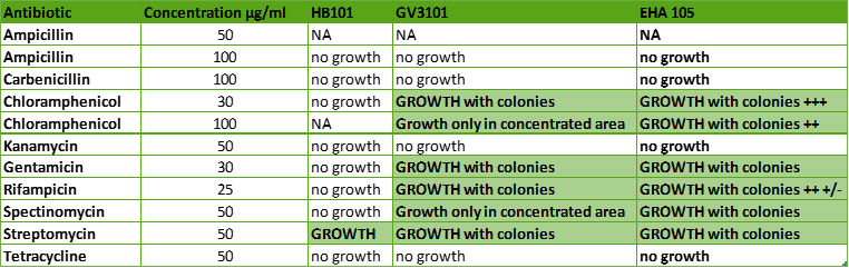 Bacterial growth data in green table