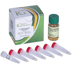 Laboratory kit with vials and recovery media.