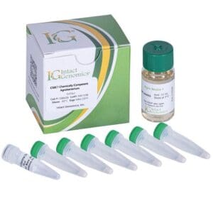 Laboratory kit with vials and box