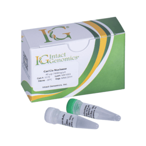 Laboratory enzyme kit with vials