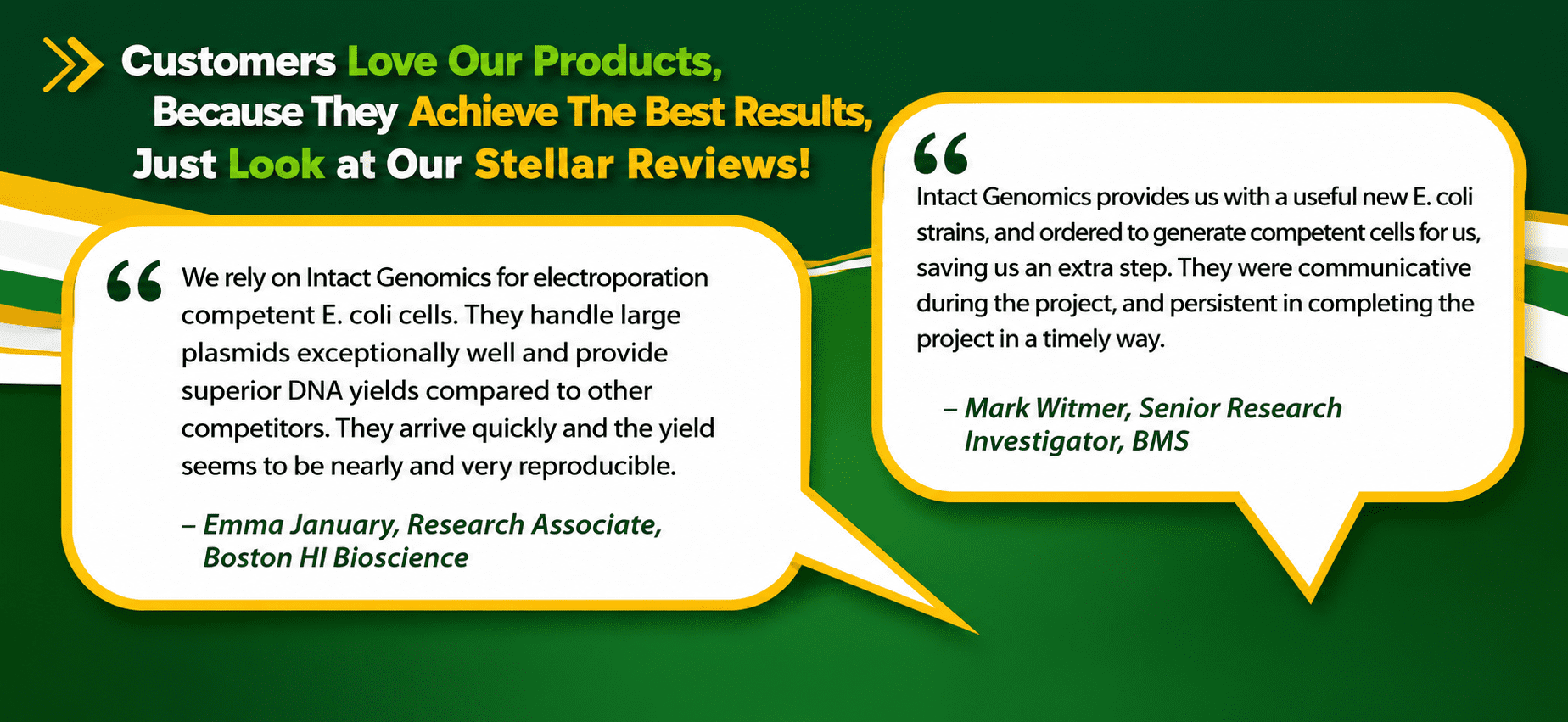Testimonials praising E. coli cell solutions